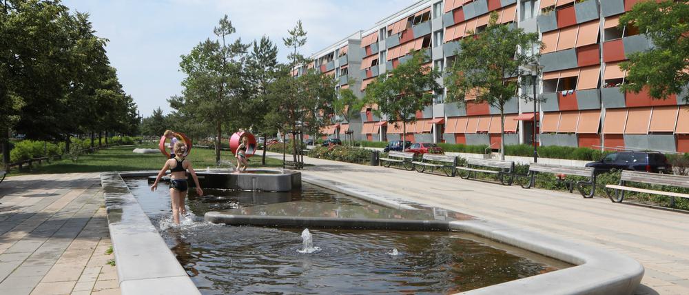 Durch Algenwuchs ist der Brunnen in der Gartenstadt Drewitz zur Gefahrenstelle geworden.