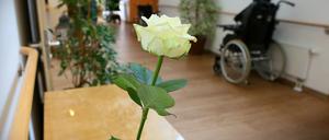 Das Hospiz auf Hermannswerde ist das einzige seiner Art in Potsdam.