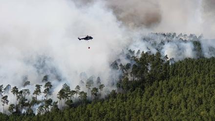 In der Nacht ist die Brandfläche in der Lieberoser Heide auf rund 100 Hektar angewachsen.