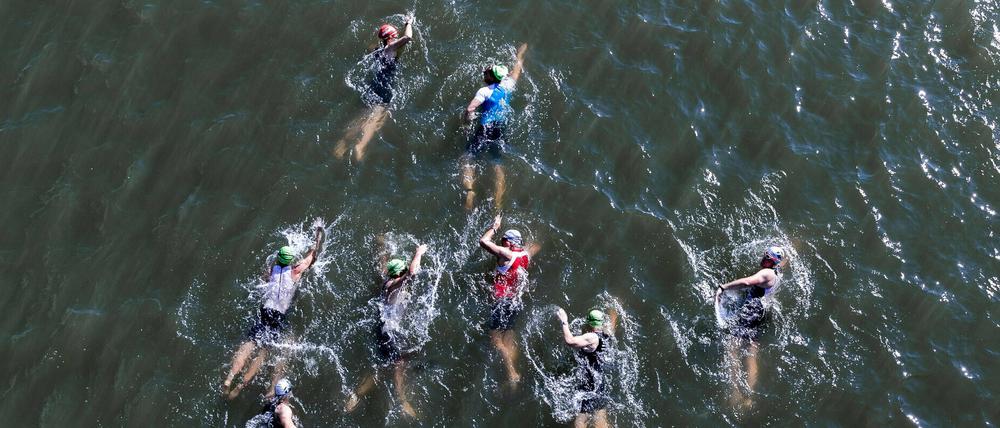 Auftakt zum Triumph. Beim Triathlon in Düsseldorf schwammen die Aktiven zunächst durch den Rhein.