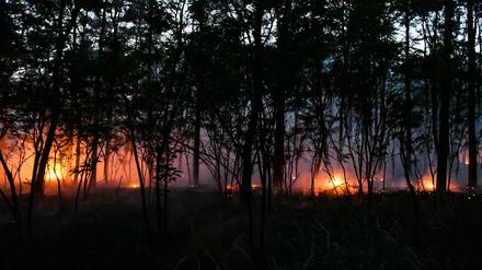 Die Fläche des Brandes zwischen den Gemeinden Wiesenau und Ziltendorf beträgt ungefähr 130 Hektar.