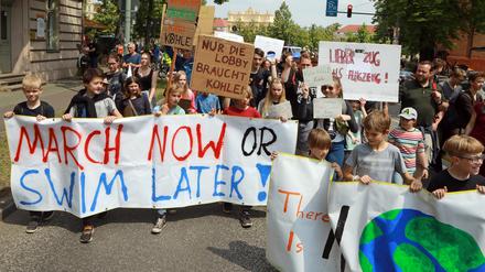 Rund 600 Teilnehmer hatte die "Fridays for future"-Demonstration Ende Mai in Potsdam.