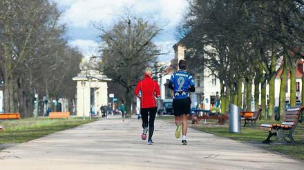 Mitläufer willkommen: Am Samstag kommt die Tagesspiegel-Laufgruppe nach Potsdam.