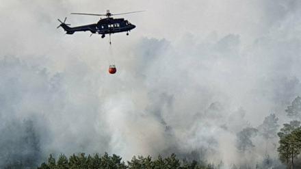 Bereits am 25. Juni hatte es in der Lieberoser Heide gebrannt.