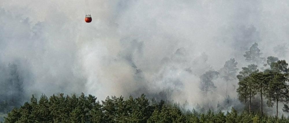 Bereits am 25. Juni hatte es in der Lieberoser Heide gebrannt.
