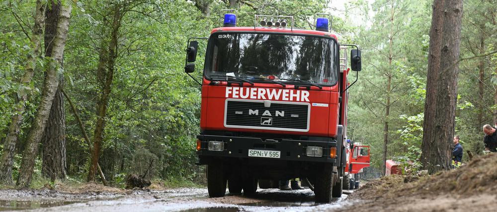 Schwierige Bedingungen für die Feuerwehr: Der Boden im Waldbrandgebiet ist mit Munition kontaminiert.