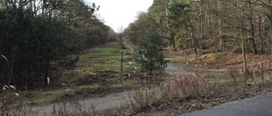 Die alte Stammbahntrasse zwischen dem Kleinmachnower Europarc und Berlin Wannsee.