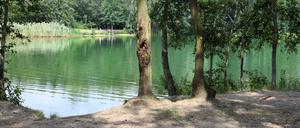 Wer am Ufer des Baggersees am Stern steht, merkt kaum, dass nebenan die Bahn fährt und die Autos über die Schnellstraße rauschen. Der See gehört zu den unbekannteren Badestellen und ist deshalb auch bei Sommerwetter selten überlaufen.