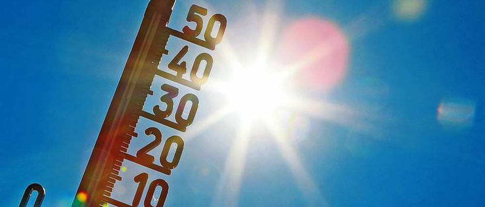 Hotspot. Für Potsdam war der Juni ein Rekordmonat. In der Gesamtbilanz war auch der Juli zu warm, obwohl die ersten beiden Wochen eher durchschnittlich verliefen.
