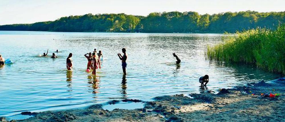 Der Sacrower See ist vor allem bei Familien wegen des klaren Wassers und der geringen Tiefe am Ufer beliebt.