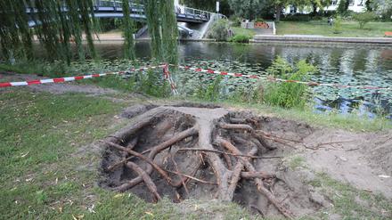 Mutmaßlicher Bombenfund auf der Potsdamer Freundschaftsinsel hat sich nicht bestätigt.