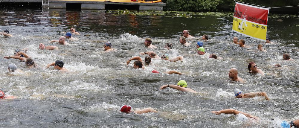 Wasserspaß im Herzen Potsdam. Rund 250 Aktive nahmen wieder am Inselschwimmen teil.