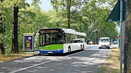 Bis zur Pirschheide reicht derzeit die Busspur in Fahrtrichtung Potsdam.