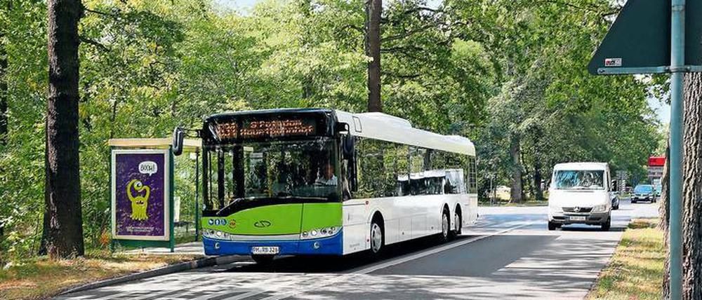Bis zur Pirschheide reicht derzeit die Busspur in Fahrtrichtung Potsdam.