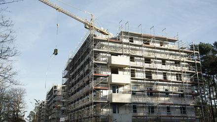 Wachstumsbranche. Ein Neubauprojekt in Potsdam.