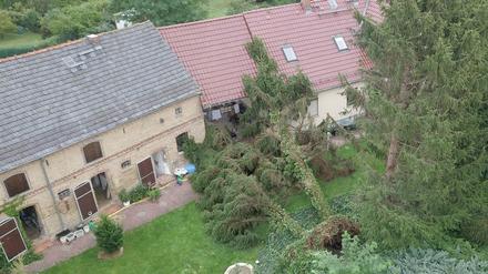 Entwurzelte Bäume liegen auf einem Grundstück in Klaistow. In dem brandenburgischen Dorf sei es nach Angaben des DWD schon am frühen Abend extrem stürmisch gewesen.