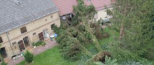 Entwurzelte Bäume liegen auf einem Grundstück in Klaistow. In dem brandenburgischen Dorf sei es nach Angaben des DWD schon am frühen Abend extrem stürmisch gewesen.