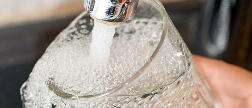 Wie teuer wird das Potsdamer Trinkwasser im nächsten Jahr? 