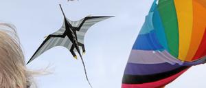 Bunte Drachen aus vielen Ländern werden am Wochenende im Volkspark gezeigt.