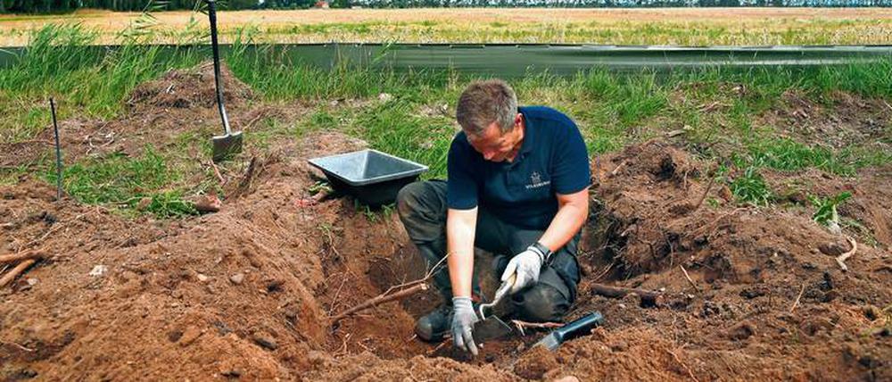 Im Oderbruch, wie hier an der Straße zwischen den Dörfern Wollup und Zechin, liegen Munition und Blindgänger aus dem Zweiten Weltkrieg – und Gebeine von Soldaten.