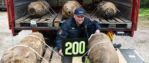 Mike Schwitzke und die Bomben.