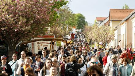 Eröffnung des Baumblütenfest 2019.