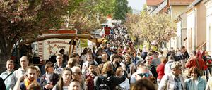 Eröffnung des Baumblütenfest 2019.