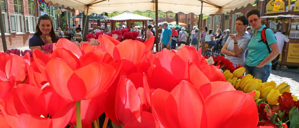 Das Tulpenfest 2018.