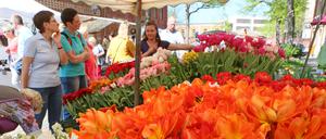 Das Tulpenfest 2018.