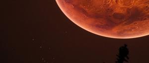 Stefanie Musiol von der Freien Universität Berlin kommt heute nach Potsdam, um die erste erfolgreiche europäische Raumsonde zum Mars vorzustellen.