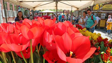 Zum nächsten Tulpenfest wird Bundesprominenz erwartet...