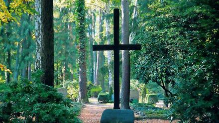 Auf dem 6,5 Hektar großen Waldfriedhof in Kleinmachnow befinden sich 204 Kriegsgräber. In der Mitte steht ein Holzkreuz.