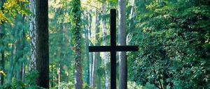 Auf dem 6,5 Hektar großen Waldfriedhof in Kleinmachnow befinden sich 204 Kriegsgräber. In der Mitte steht ein Holzkreuz.