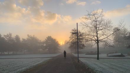 Morgenstimmung im Volkspark Potsdam.