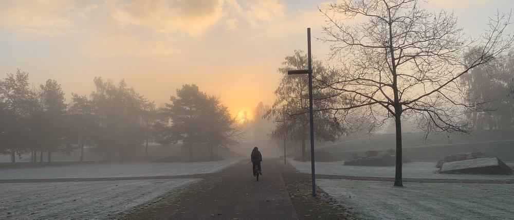 Morgenstimmung im Volkspark Potsdam.