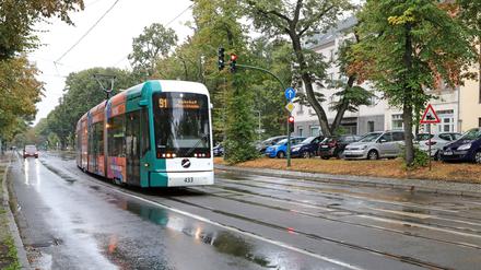 Die Tramtrasse in der Heinrich-Mann-Allee soll verlegt werden.
