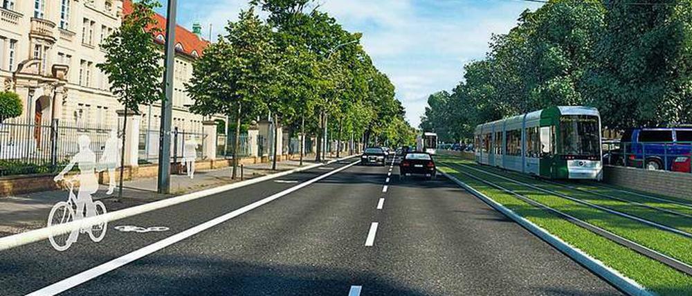 Umstritten. Für den Umbau der Heinrich-Mann-Allee sollen Bäume weichen. 
