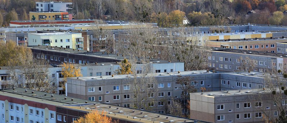 Strategie gesucht. Das neue Bündnis für den Schlaatz will einen Masterplan entwickeln, um das Leben im Wohngebiet attraktiver zu gestalten. Wohngebiet Am Schlaatz in Potsdam, Plattenbausiedlung.