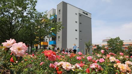 Drewitz soll Potsdams erster emissionsfreier Stadtteil werden.