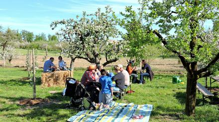 Unter Bäumen wie hier 2018 auf der Wiese des Vereins Zuckerbaum wsoll man auch 2020 wieder feiern können.