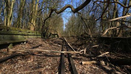 Die stillgelegte Trasse der Stammbahn in Berlin-Zehlendorf. 