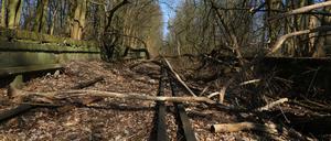Die stillgelegte Trasse der Stammbahn in Berlin-Zehlendorf. 