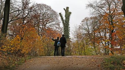 Der Park Babelsberg. 