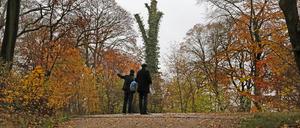 Der Park Babelsberg. 