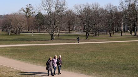 Der Volkspark in Potsdam.