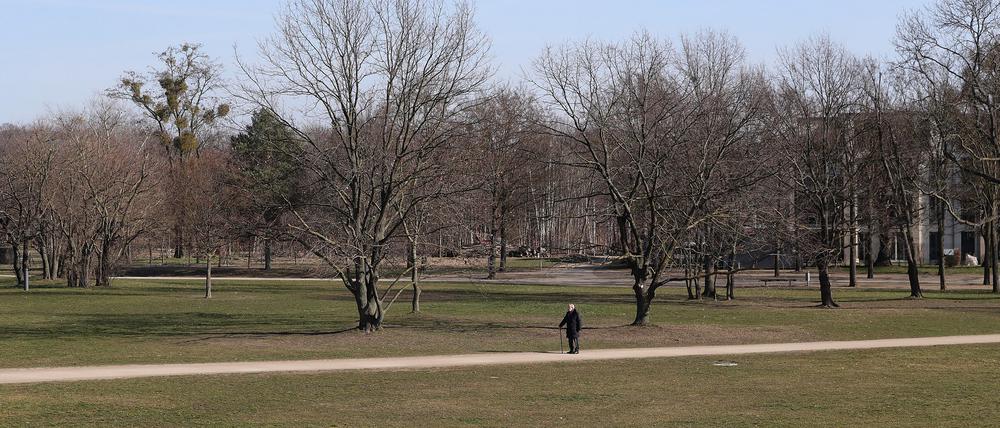 Der Volkspark in Potsdam.