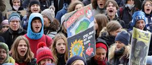 Hunderte Menschen kamen am Freitag zu der Demonstration.