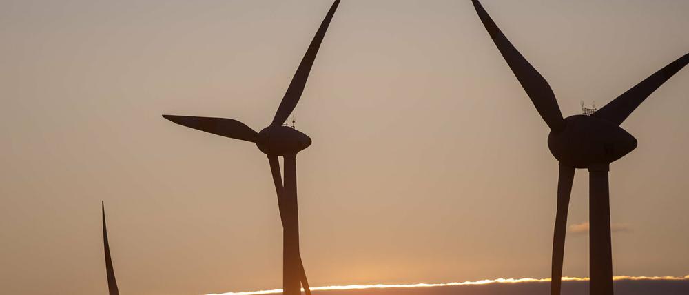 Die 244 Meter hohen Anlagen sollen ab 2022 errichtet werden.