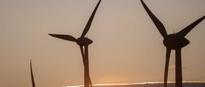 Die 244 Meter hohen Anlagen sollen ab 2022 errichtet werden.