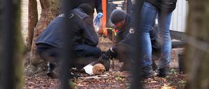 Das Skelett ist am Montag bei Gartenarbeiten an der Villa Kellermann entdeckt worden.